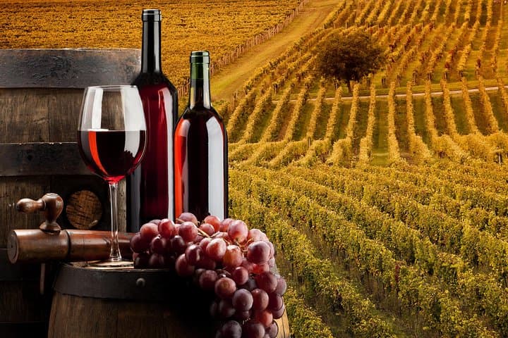 Bella Toscana Private Tour: 2 Chianti Wineries and San Gimignano From Livorno — photo 1 of 8