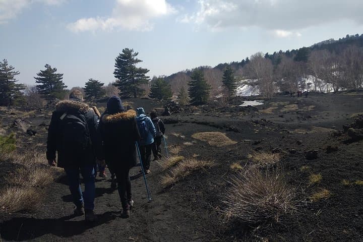 Mount Etna Half-Day Small Group Tour from Taormina — photo 1 of 7