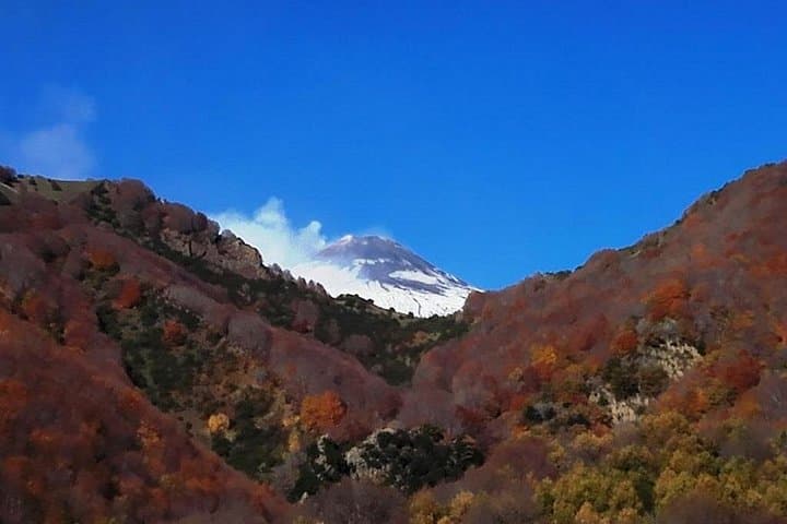 Best Of Sicily Shore Excursion: Etna, Taormina, Castelmola - 10 Persons Max — photo 1 of 10
