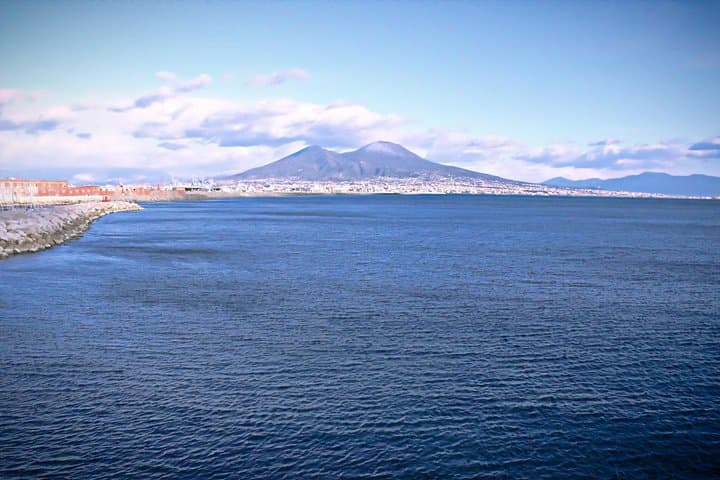 Pompeii and Vesuvius from Naples. Private activity — photo 1 of 8