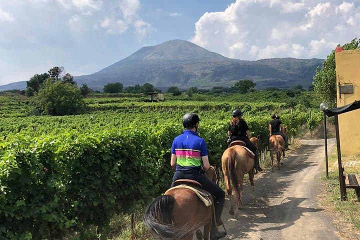 Scenic Horseback Ride, Wine Tasting & Lunch on Mt. Vesuvius — photo 1 of 13