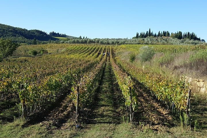 Discover Chianti Through its Wines — photo 1 of 6