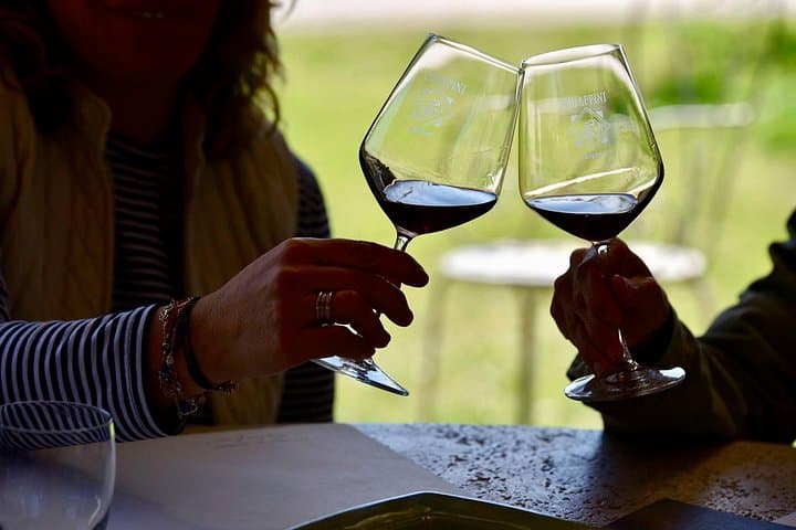 Winery tours and tastings in Bolgheri with Wine Guide — photo 1 of 11