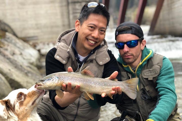 Fly Fishing For Marble And Brown Trouts In Italian Alps — photo 1 of 4