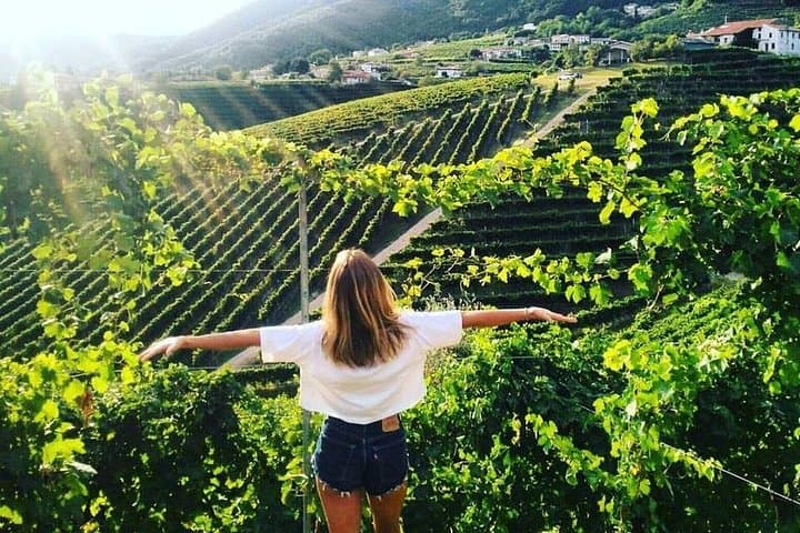 Prosecco hills wine tasting tour — photo 1 of 4