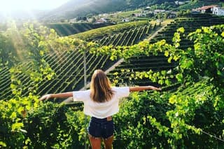 Prosecco hills wine tasting tour
