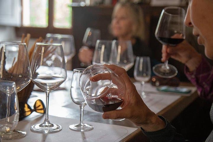 From Florence to Chianti Rufina: Wine Tasting Experience — photo 1 of 15