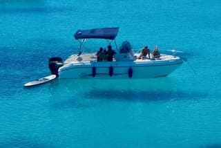 Golfo di Olbia and Dolphins Island Private Boat Tour