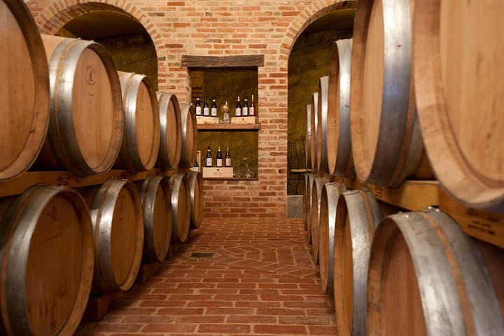 Barolo & CO: visit and tasting — photo 1 of 6