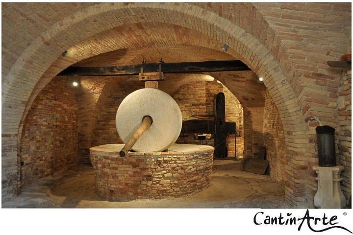 Organic Wine Tasting & tasting of EVO CantinArte OIL MUSEUM — photo 1 of 4