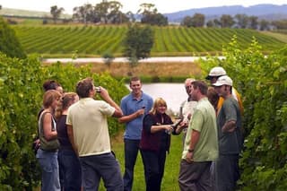 Horseback Riding, Wine Tasting in Tuscany