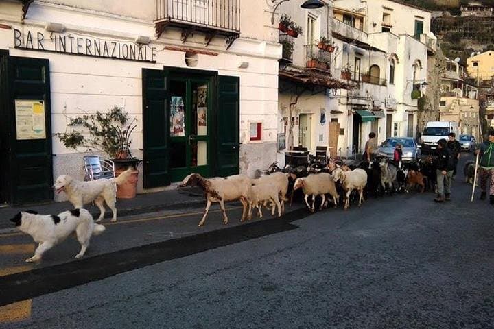 Amalfi Coast tour — photo 1 of 39