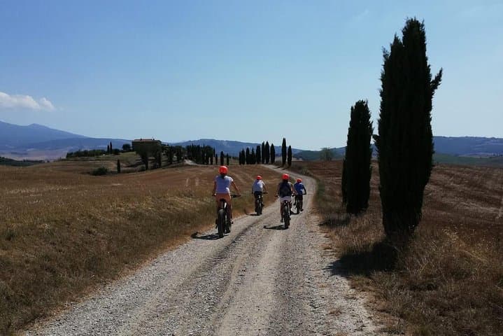 Wine Tour Ebike Experience — photo 1 of 8