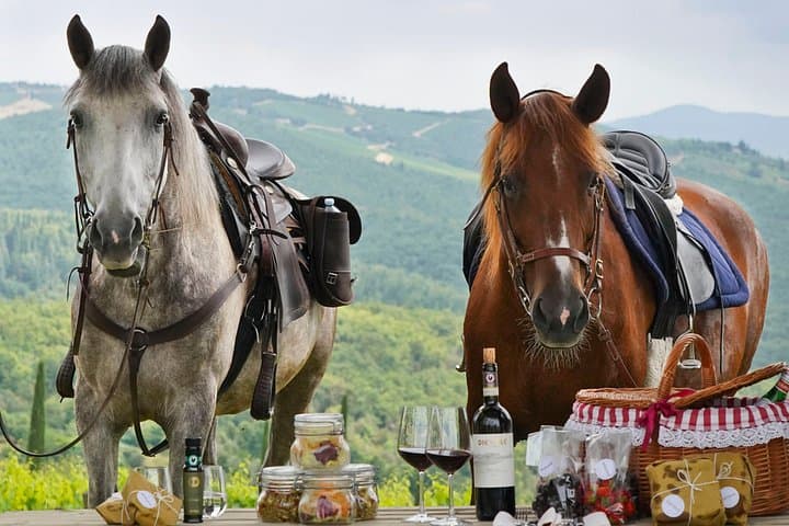 Wine and Horses — photo 1 of 5