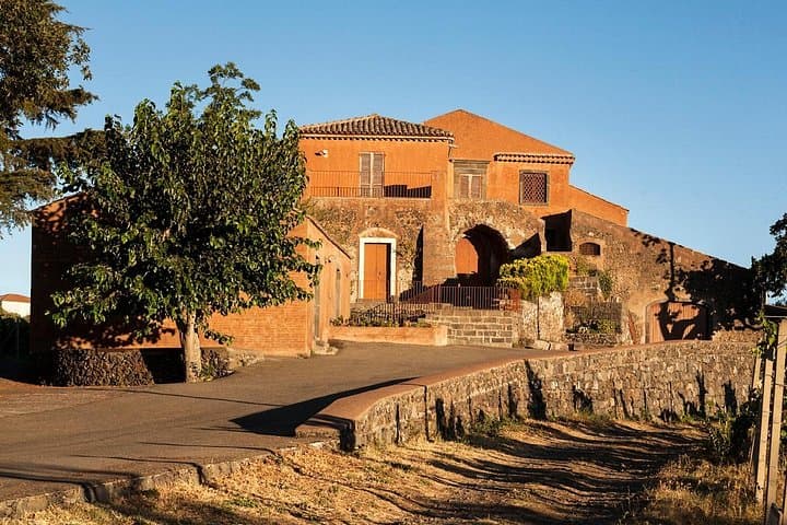 Etna DOC & Organic Wine tasting and tour of the 1815 historic winery — photo 1 of 9