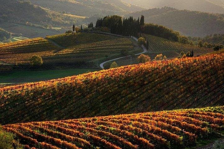 Chianti Half-day Wine Tour in the Tuscan's Hills from Pisa — photo 1 of 6