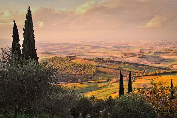 Montalcino and Pienza Tour from Rome — photo 1 of 14