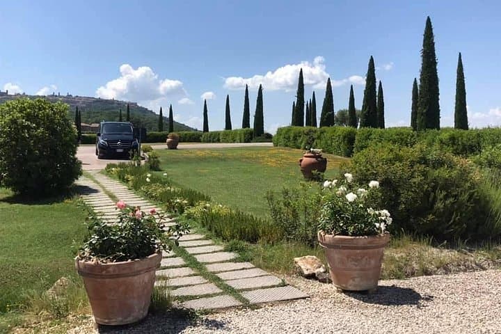 Small group Chianti-side wine tour with Mercedes V class Van — photo 1 of 6