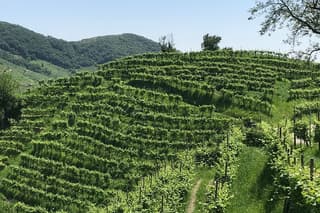 Private Prosecco Hills Tour with Local Driver