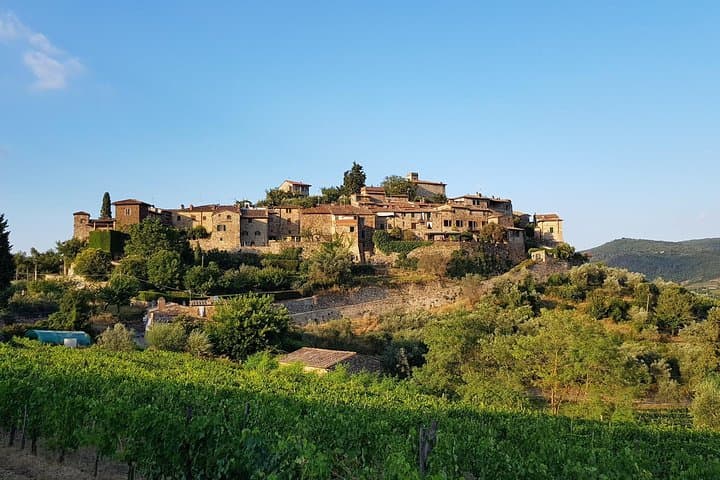 Montefioralle Winery - Tour and Wine Tasting in Chianti — photo 1 of 7
