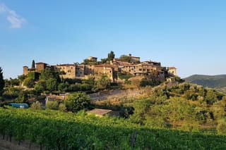 Montefioralle Winery - Tour and Wine Tasting in Chianti