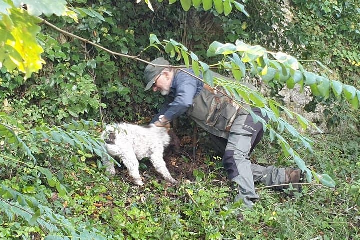 Truffle hunt, Lunch, Horse riding, a top half-day near Florence — photo 1 of 23