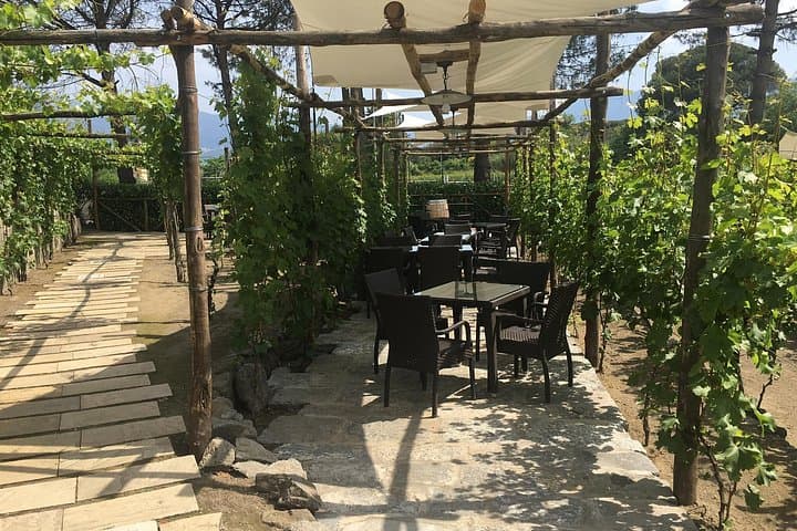 Pompeii and Winery — photo 1 of 23