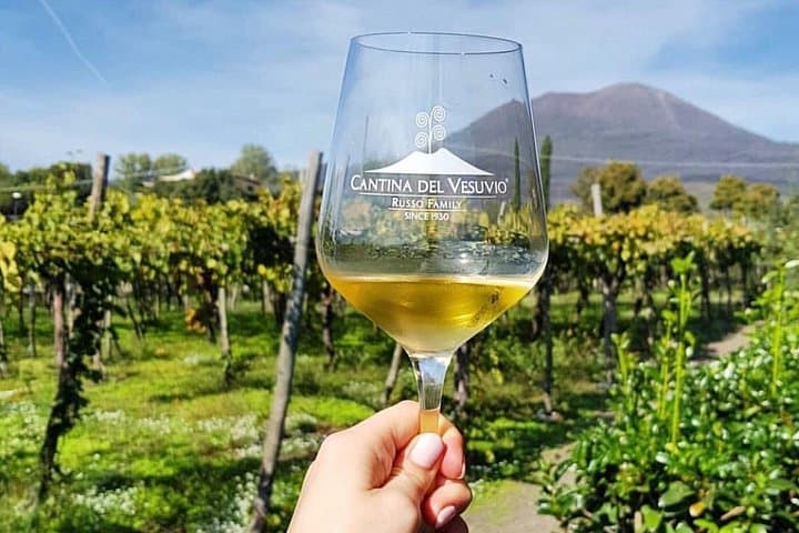 Tour of Pompeii with tour guide plus wine testing and lunch in a winery Vesuvius — photo 1 of 7