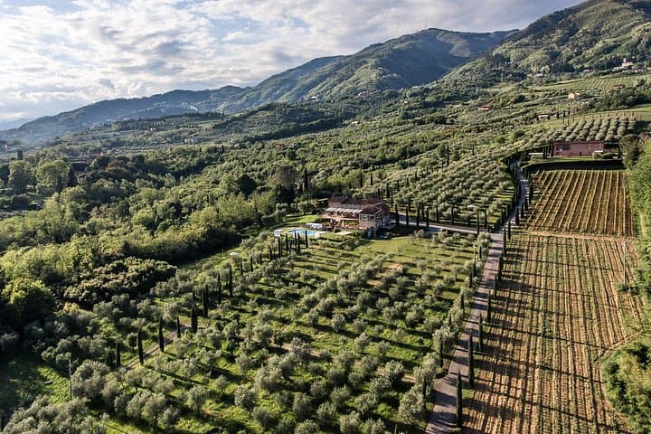 Wine and olive oil tasting & farm tour — photo 1 of 10