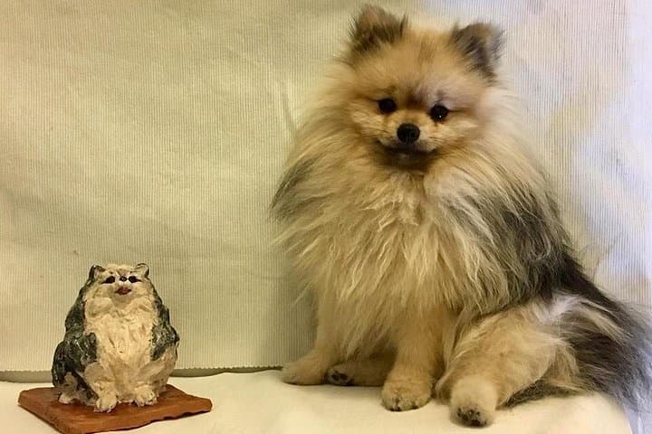 Sculpt to Florentine Pet — photo 1 of 8