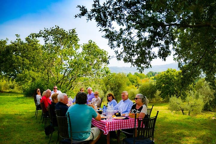 Lunch in the Olive Grove — photo 1 of 7