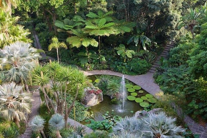 Ischia and La Mortella Gardens — photo 1 of 7
