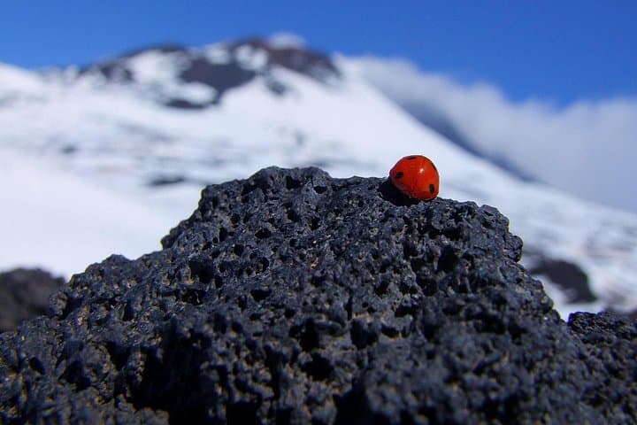 Etna Morning Experience — photo 1 of 6