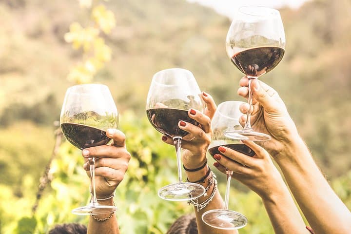 Alba in 3 Wines: Exclusive Wine Tasting with an Expert & Food Pairing — photo 1 of 7