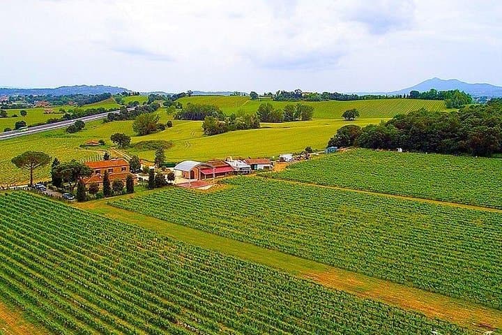 Enjoy a meal with wine tasting in the vineyard of Podere Casanova — photo 1 of 6