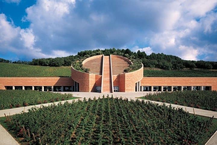 Suvereto Wine Experience PRIVATE TOUR from SIENA — photo 1 of 8