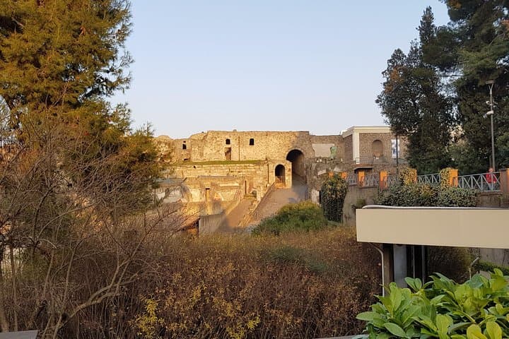 Pompeii & Herculaneum Guided Tour w/ Driver & Minivan + English-Speaking guide — photo 1 of 5