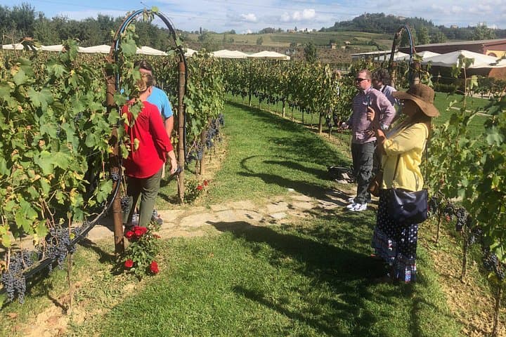 Tuscany Brunello wine tour (12hrs) Montalcino, Montepulciano — photo 1 of 17