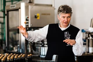 Prosecco Wine Tour (all-inclusive full day with lunch and expert wine guide)