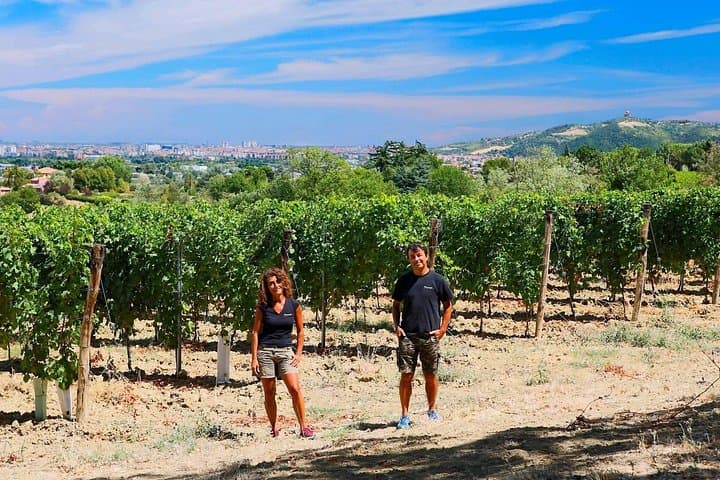 Winetour and tasting on Bologna hills, guided by the wine grower — photo 1 of 21