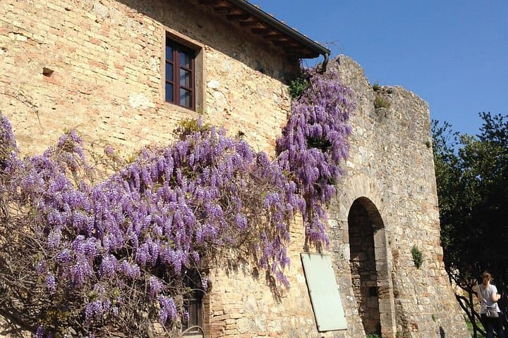 Exclusive Private tour To Siena and San Gimignano — photo 1 of 8