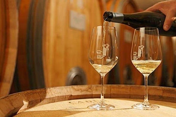 Umbria Wine Tour and Tasting in Torgiano. — photo 1 of 3