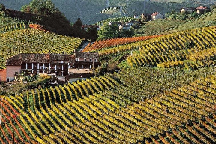Private tour from Turin: Full day Langhe Region with its Colors and Flavors — photo 1 of 18