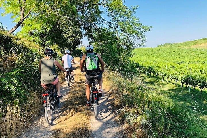 Enjoy a Wine Tasting after a cycling excursion in the magic of Tuscany — photo 1 of 8