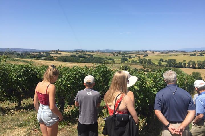 Wine and olive oil tastings with the locals — photo 1 of 28