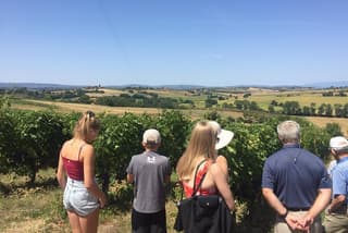 Wine and olive oil tastings with the locals