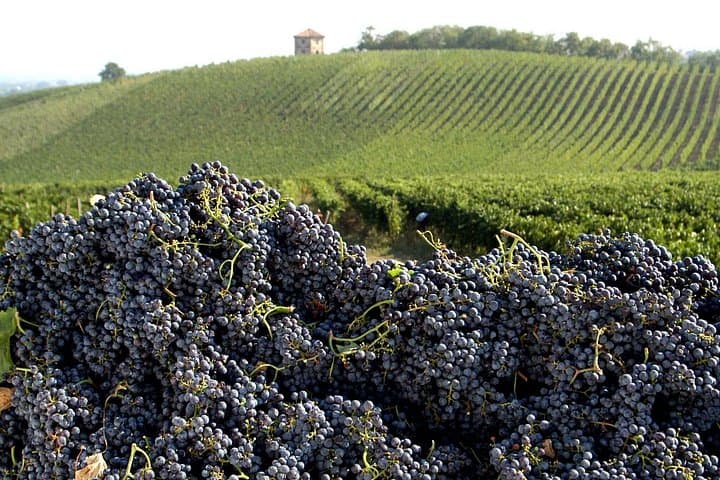 Valtellina Food Tour : Lake Como and Mountains discover - Private tour — photo 1 of 12
