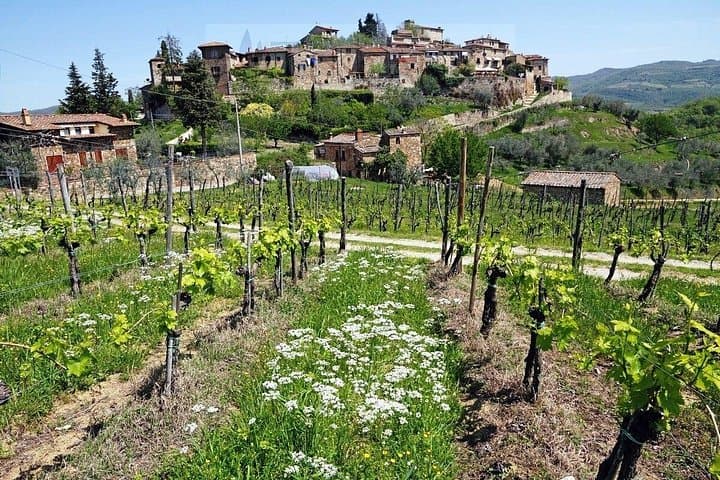 Tour of Chianti for small groups departing from Florence or surroundings — photo 1 of 7