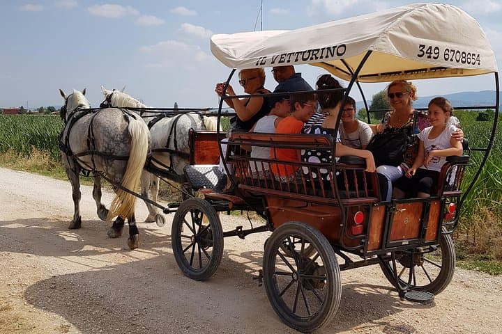 Tour the wine route — photo 1 of 3