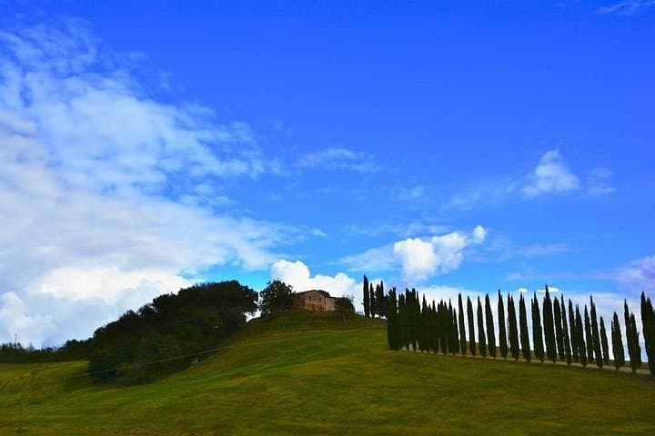 Montalcino and Brunello Wine Private Tour — photo 1 of 3